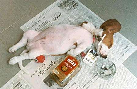 c'est dure